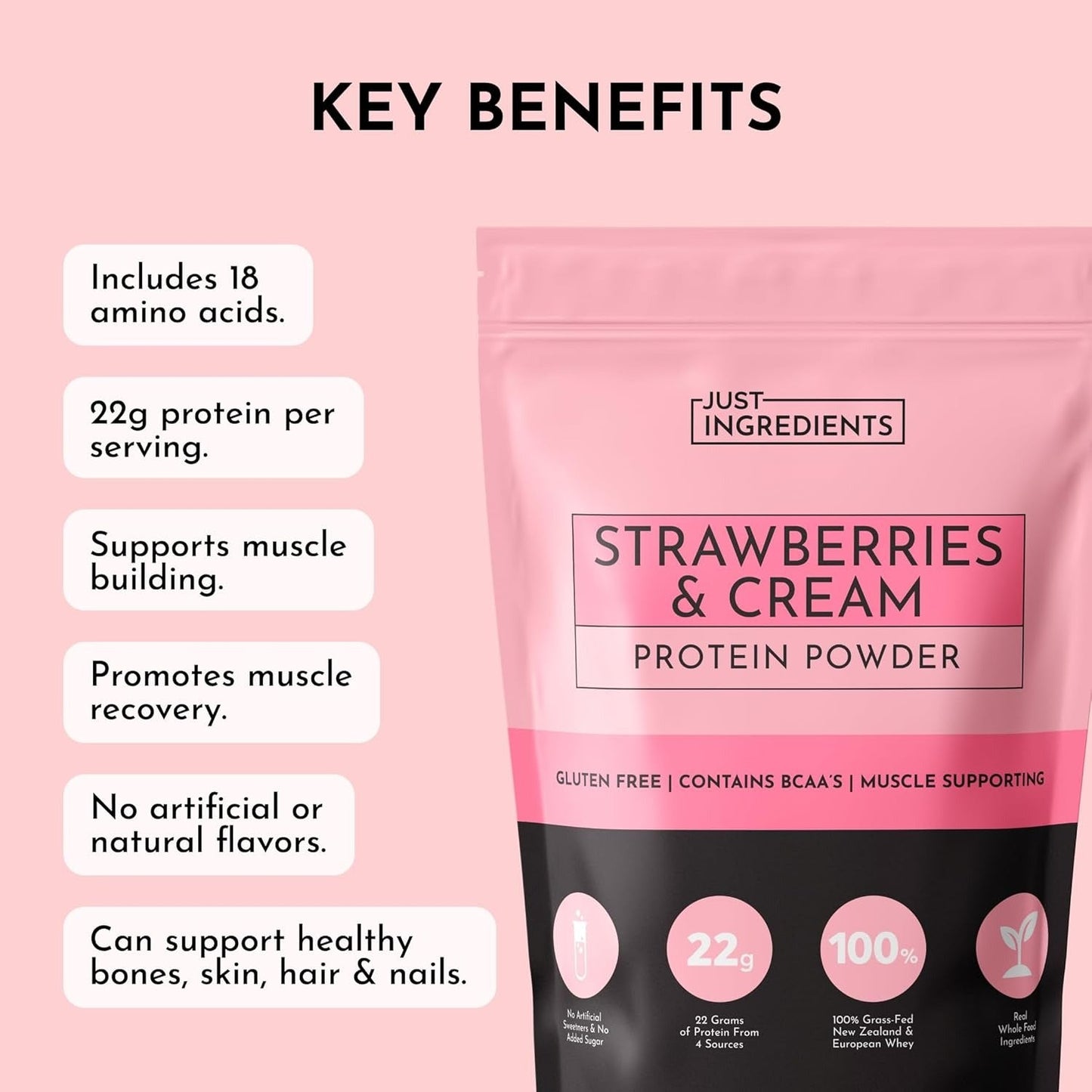 JUST INGREDIENTS Protein Powder